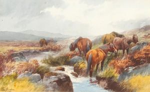 Dartmoor Ponies by Thomas, Tom Rowden
