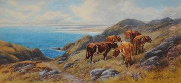 Clifftop Cattle. - view 1