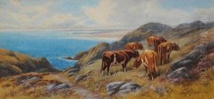 Clifftop Cattle. by Thomas, Tom Rowden