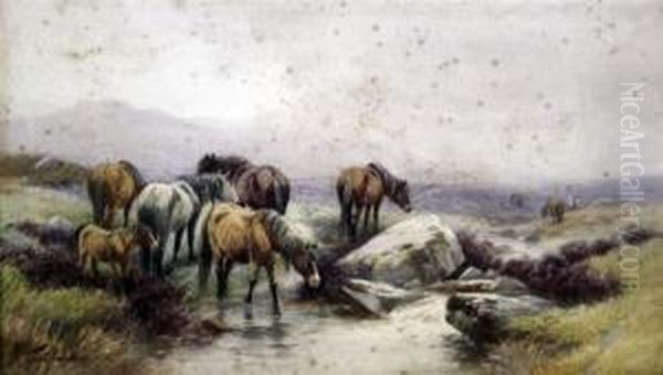 The East Ockment, Nr. Okehampton, Dartmoor - view 1