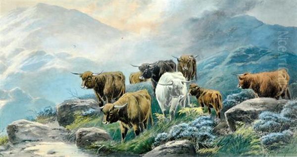 Highland - view 1