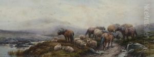 Dartmoor Crockern Tor