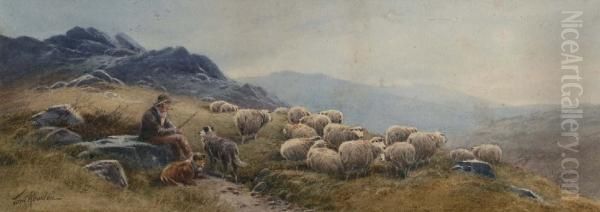 Herder Met Zijn Schapen Inheuvellandschap - view 1