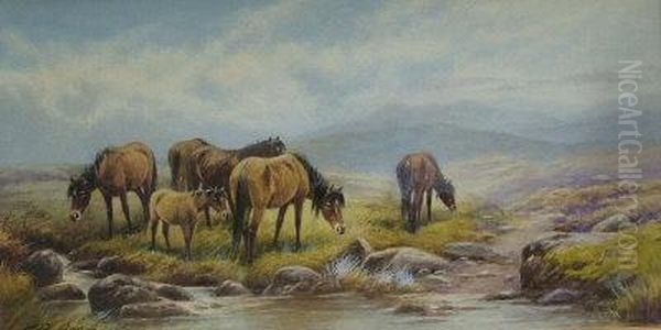 Moorland Ponies. - view 1