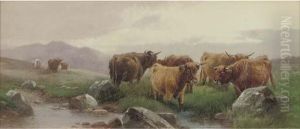 Blackhaven Brook, Near Okehampton, Dartmoor; And Arms Tor, Bridestowe (illustrated)