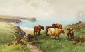 Cattle Cattle
