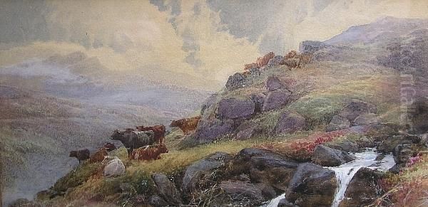 Cattle On A Dartmoor Tor - view 1
