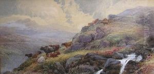 Cattle On A Dartmoor Tor