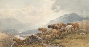 Dartmoor Ponies