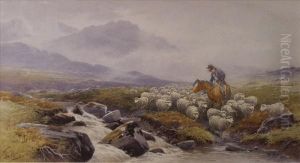 Dartmoor, Near Twobridges by Thomas, Tom Rowden