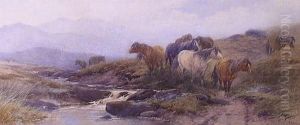 Dartmoor Ponies Besidea Stream by Thomas, Tom Rowden