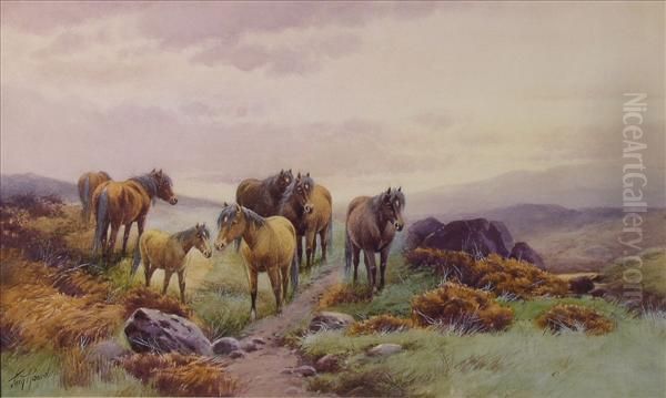 Horses And Ponies On Amoorland Path - view 1