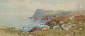 Sheep On A Coastline by Thomas, Tom Rowden