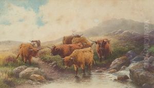 The River Ockment And Belstone Tor - With Cattle Watering The River Ockment And Belstone Tor - With Cattle Watering
