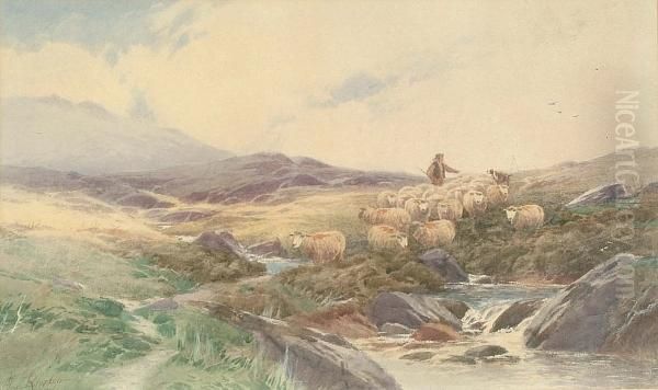 Cattle In Highland Landscape - view 1