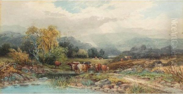 Cattle On Dartmoor - view 1