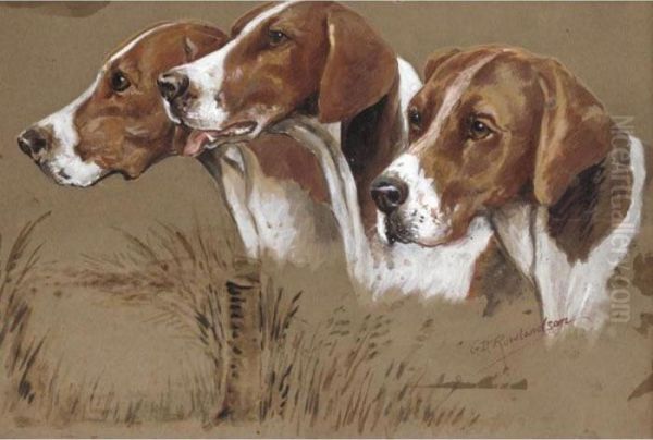 Three Hounds; A Spaniel - view 1
