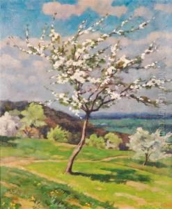 Tree In Blossom