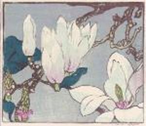Magnolia (#) Lords And Ladies 
(#) Dandelions (#) Dead Tulips (#) Water Lilies (#) Cyclamen