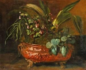 Petites Fleurs A La Jardiniere De Cuivre