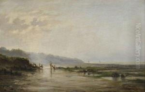 Vue D'une Plage A Maree Basse - view 1