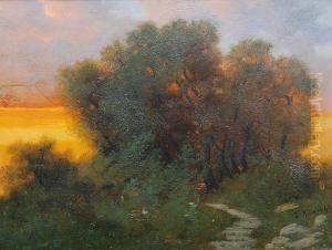 Weg Und Baume Bei Sonnenuntergang Weg Und Baume Bei Sonnenuntergang