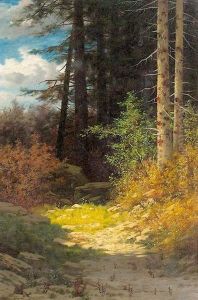 Sonniger Waldweg. Sonniger Waldweg.