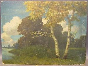 Park With Birch Trees
