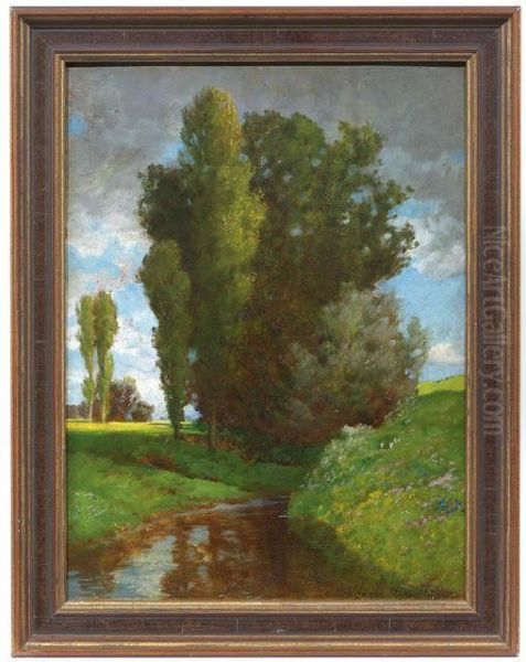 Sommerlicher Wiesenbach - view 1