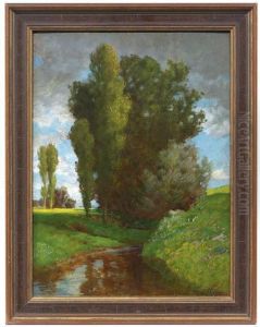 Sommerlicher Wiesenbach