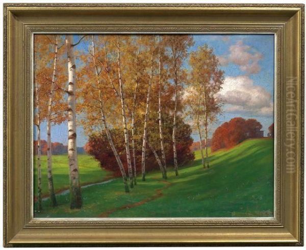 Herbstliche Birken Am Wiesenhang - view 1
