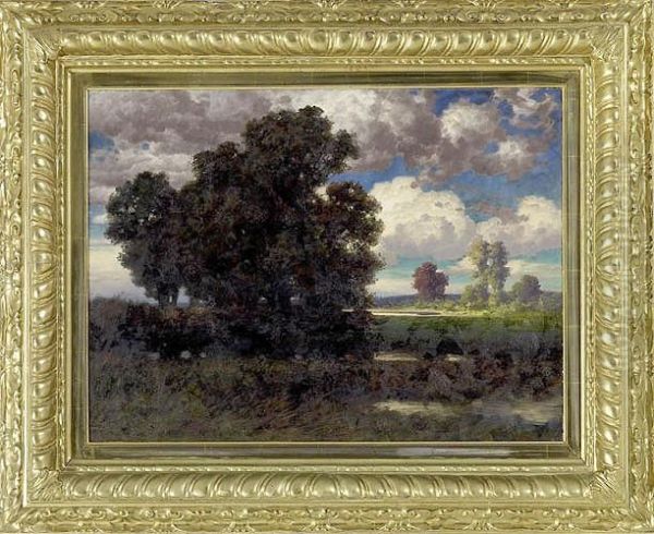 Landschaft Mit Baumgruppe An Gewasser - view 1
