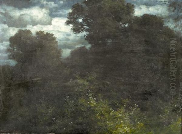 Waldstuck In Nachtlichem Licht. - view 1