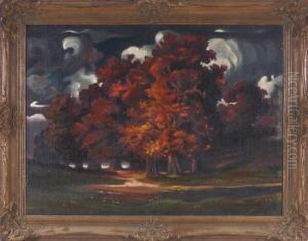 Herbstliche Baumgruppe Bei Gewitterstimmung - view 1