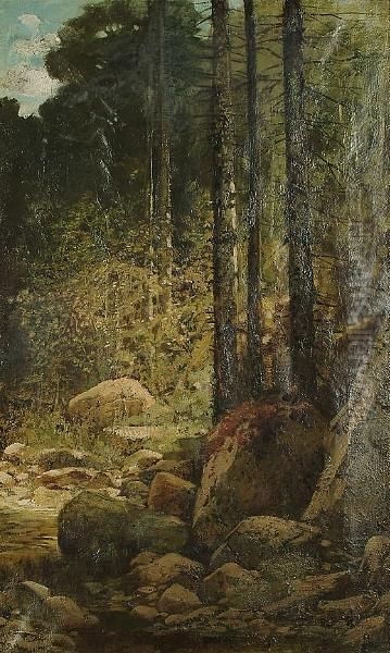 Trees - view 1