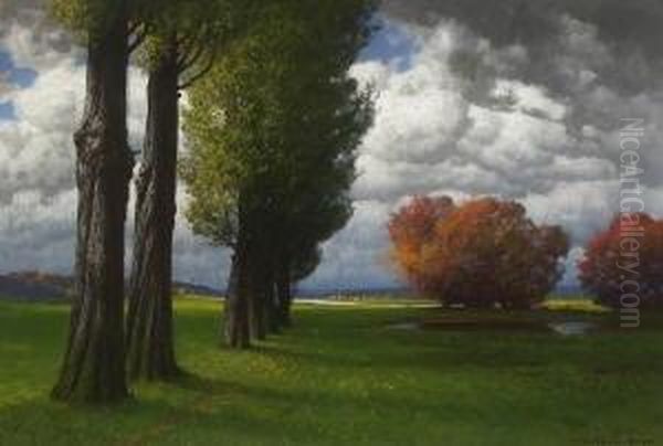 Baumlandschaft Bei Aufziehendem
Gewitter. - view 1