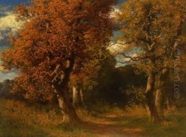 Herbstwald. - view 1
