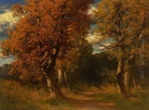Herbstwald.