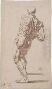 Study Of A Nude Man, Seen From Behind by Georg Philipp Rugendas I
