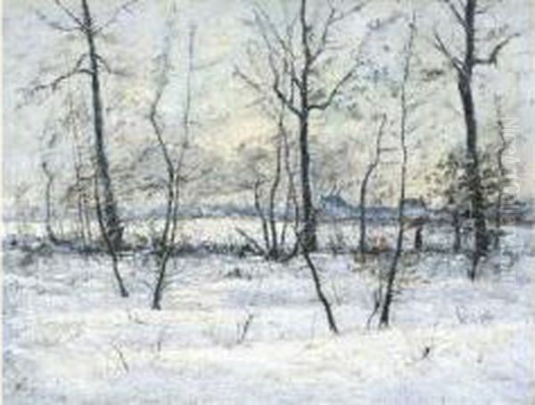 Winter In De Kempen - view 1