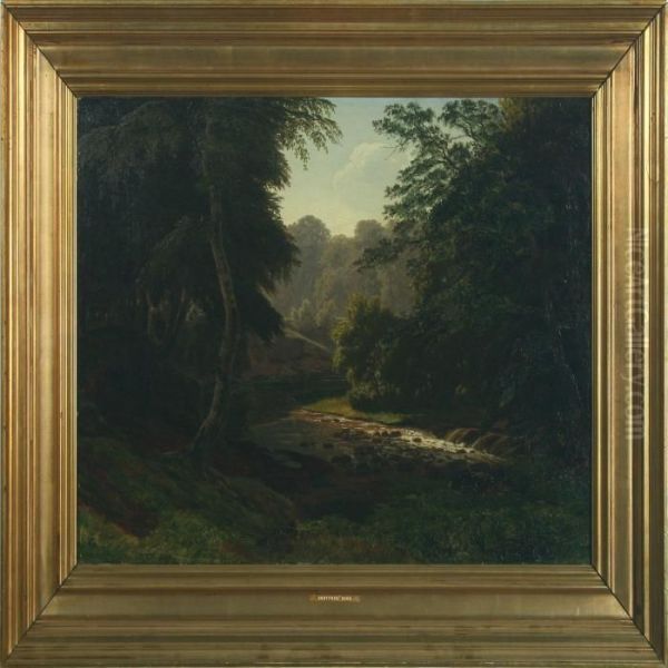 Forest Landscape With A Stream - view 1