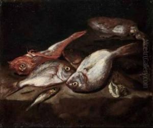 A) E B) Natura Morta Di Pesci by Giovan Battista Ruoppolo