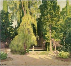El Sauce. Jardin Valenciano Alcoy(the Willow Tree, Alcoy,valencia)