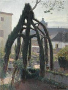 Glorieta Verde (the Pergola)