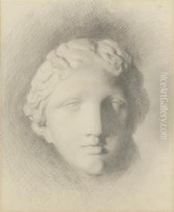 Study Of The Head Of 'venus De Medici'