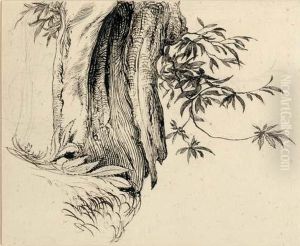 Study Of Phillyrea