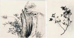 A Shoot Of Spanish Chestnut; A Young Shoot Of Oak by John Ruskin