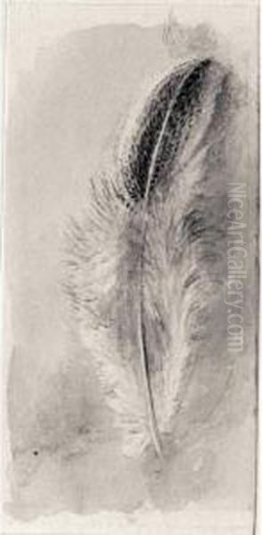 Study Of A Feather - view 1