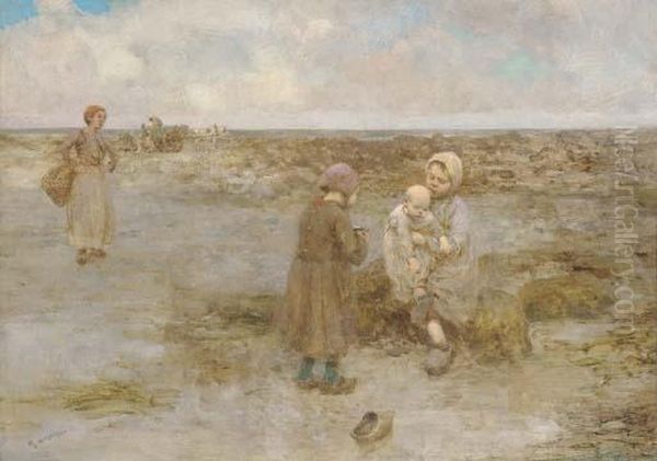 A Curiosity Of The Beach - view 1