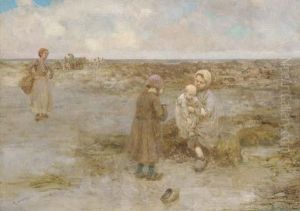 A Curiosity Of The Beach